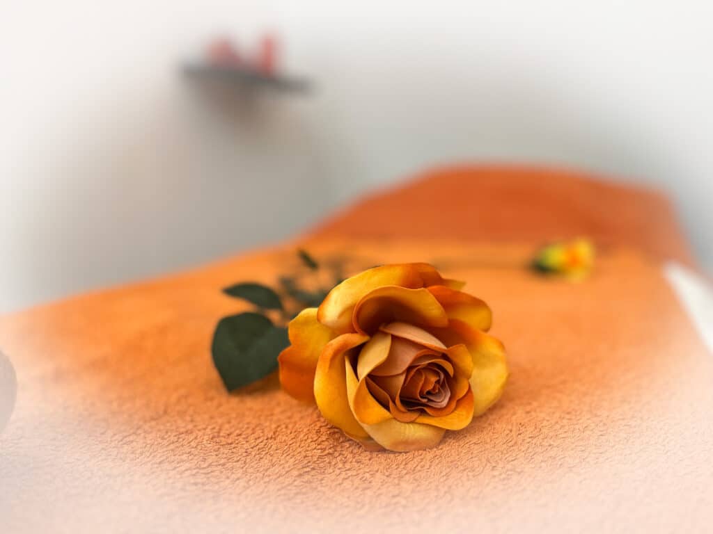 Physiotherapie Centrum Chemnitz - Wellness Ambiente